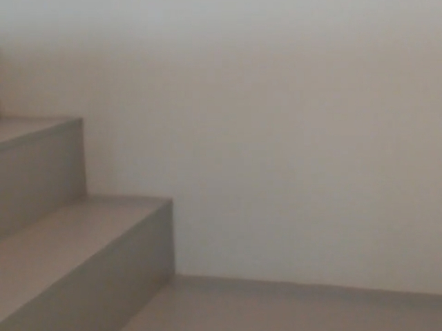 Woodhaven 1 bedder loft unit + 1study study room