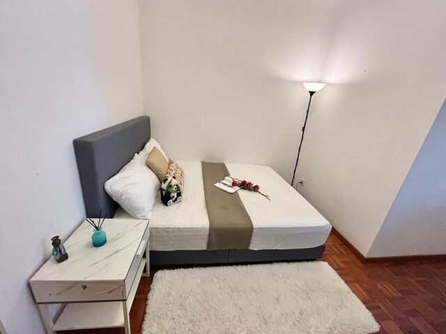 Full Furnish Common Room @ Tiong Bahru / Harbourfront MRT