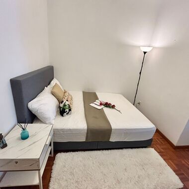 Full Furnish Common Room @ Tiong Bahru / Harbourfront MRT