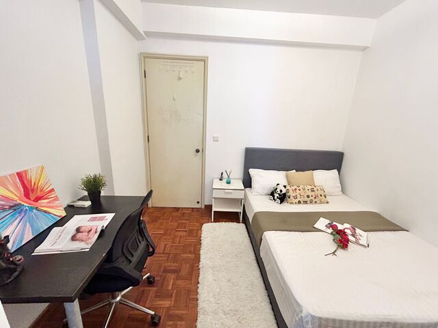 Full Furnish Common Room @ Tiong Bahru / Harbourfront MRT