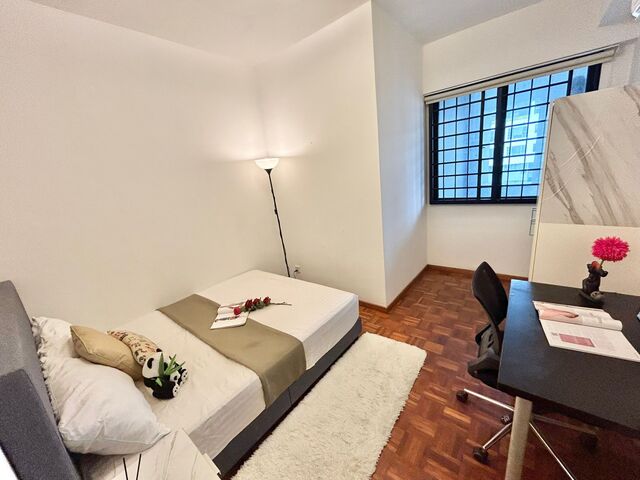 Full Furnish Common Room @ Tiong Bahru / Harbourfront MRT