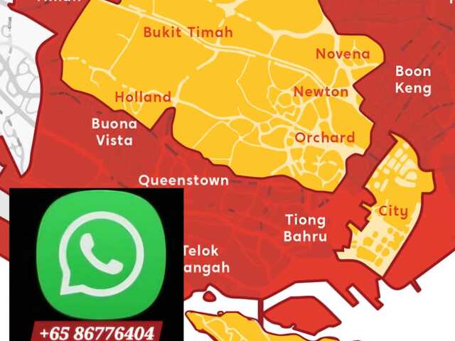 ●LADY BEDSPACES●@🟢🟡BUONA VISTA MRT(near A*STAR, NUS, SIM, NUH, SP, ESSEC, MDIS, BIOPOLIS@1N