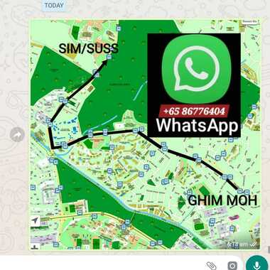 ●LADY BEDSPACES●@🟢🟡BUONA VISTA MRT(near A*STAR, NUS, SIM, NUH, SP, ESSEC, MDIS, BIOPOLIS@1North