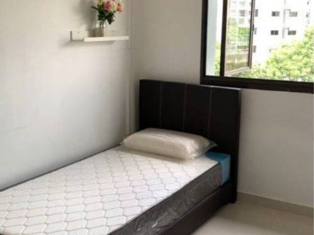 Room For Rent - SENGKANG / Indian Owner /PROFESSIONALS / STUDENTS