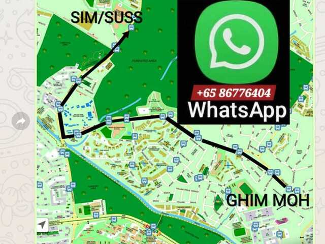 ●LADY BEDSPACES●@🟢🟡BUONA VISTA MRT(near A*STAR, NUS, SIM, NUH, SP, ESSEC, MDIS, BIOPOLIS@1North