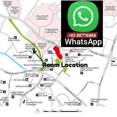 ●LADY BEDSPACES●@🟢🟡BUONA VISTA MRT(near A*STAR, NUS, SIM, NUH, SP, ESSEC, MDIS, BIOPOLIS@1North