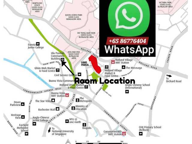 ●LADY BEDSPACES●@🟢🟡BUONA VISTA MRT(near A*STAR, NUS, SIM, NUH, SP, ESSEC, MDIS, BIOPOLIS@1North