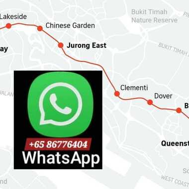 ●LADY BEDSPACES●@🟢🟡BUONA VISTA MRT(near A*STAR, NUS, SIM, NUH, SP, ESSEC, MDIS, BIOPOLIS@1North