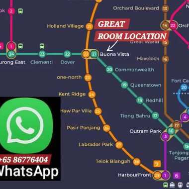 ●LADY BEDSPACES● @ 🟢🟡BUONA VISTA MRT(near A*STAR, NUS, SIM, NUH, SP, ESSEC, MDIS, BIOPOLIS@1North