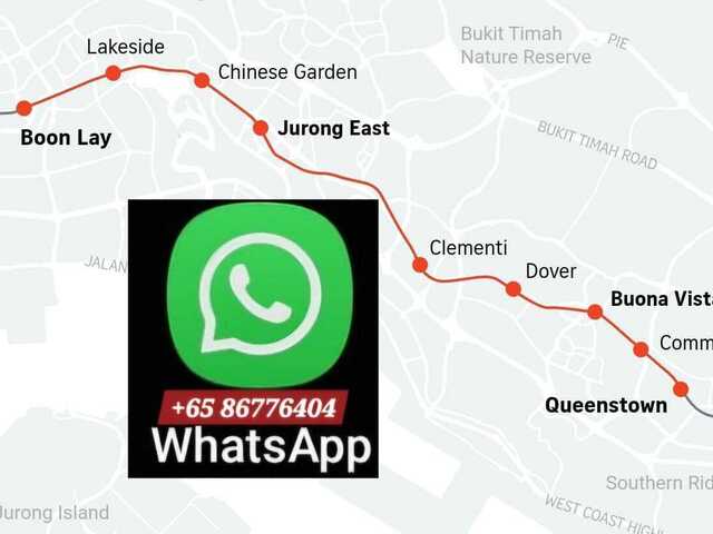 ●LADY BEDSPACES● @ 🟢🟡BUONA VISTA MRT(near A*STAR, NUS, SIM, NUH, SP, ESSEC, MDIS, BIOPOLIS@1N