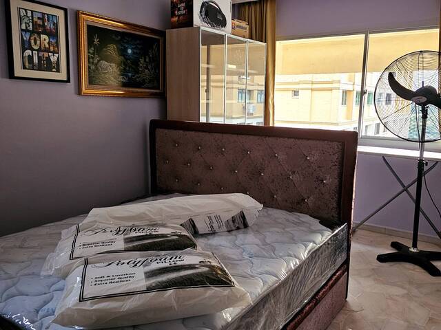 Condo Style Fully Furnished Flat and Rooms Available