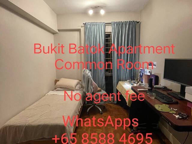 Fully furnished common room. Available immediately