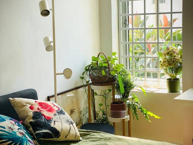 Heritage ground floor garden room in 2 person only flat share