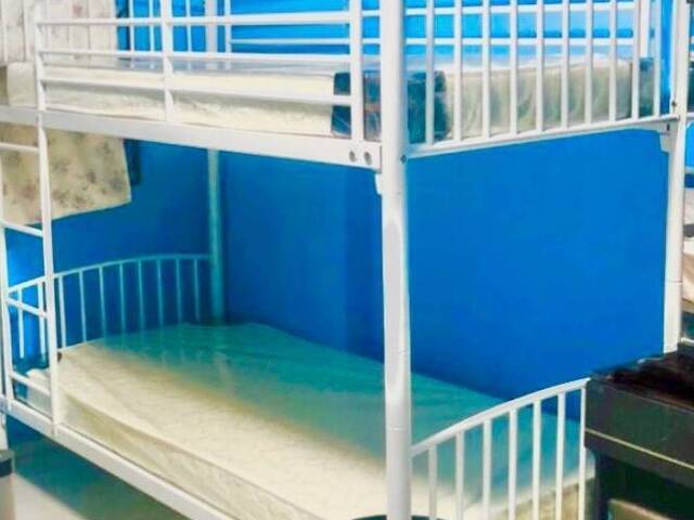 Room Rent (Hougang/Buangkok)