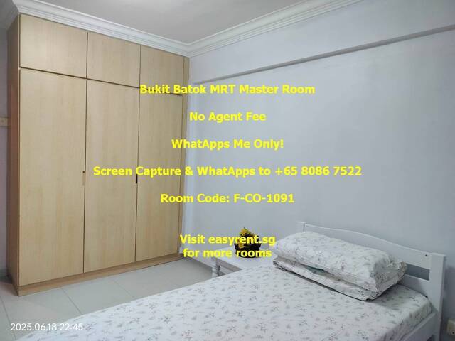 Bukit Batok MRT Master Room