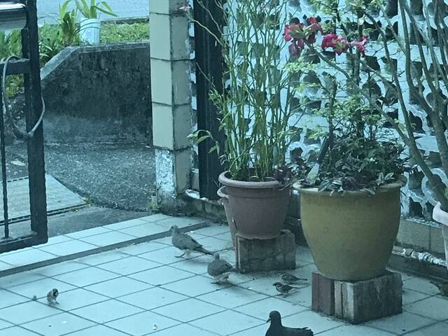 $$$ special price for first come first serve