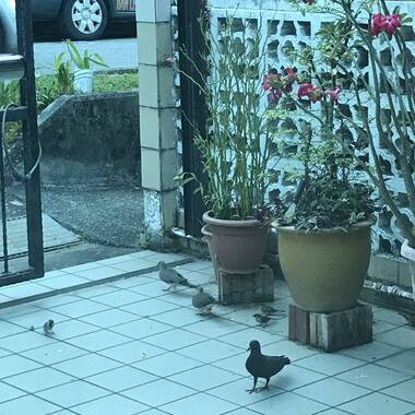 $$$ special price for first come first serve