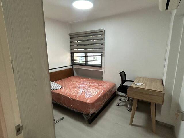 Newly Renovated House