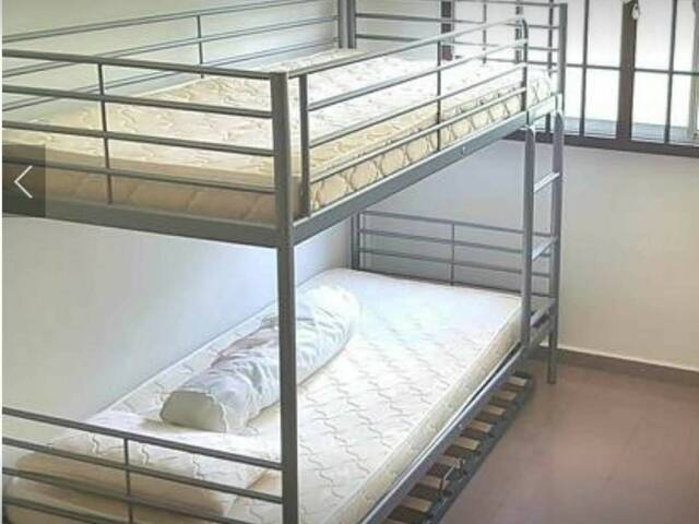 ●LADY BEDSPACES●@🟢🟡BUONA VISTA MRT(near A*STAR, NUS, SIM, NUH, SP, ESSEC, MDIS, BIOPOLIS@1N