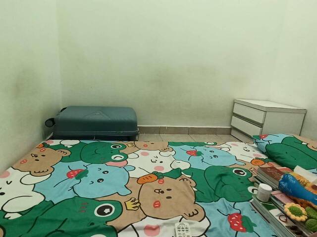 Single stay room for rent