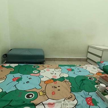 Single stay room for rent