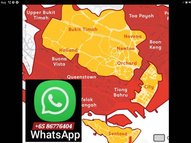 ●LADY BEDSPACES●@🟢🟡BUONA VISTA MRT(near A*STAR, NUS, SIM, NUH, SP, ESSEC, MDIS, BIOPOLIS@1North