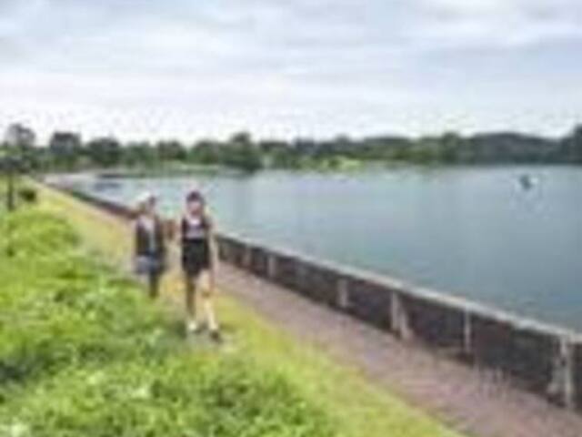 TENANTS  like Nature, fresh air  and beautiful greenery , Great value for your rent $$$!