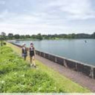 TENANTS  like Nature, fresh air  and beautiful greenery , Great value for your rent $$$!