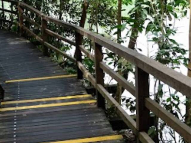 TENANTS  like Nature, fresh air  and beautiful greenery , Great value for your rent $$$!
