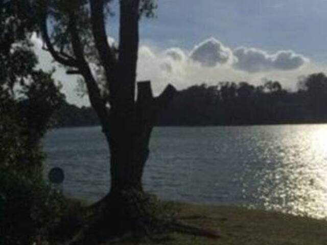TENANTS  like Nature, fresh air  and beautiful greenery , Great value for your rent $$$!