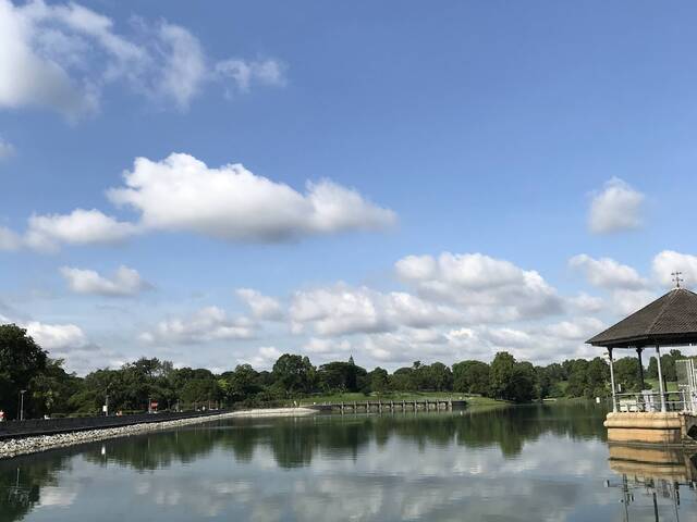 Single room special $$$