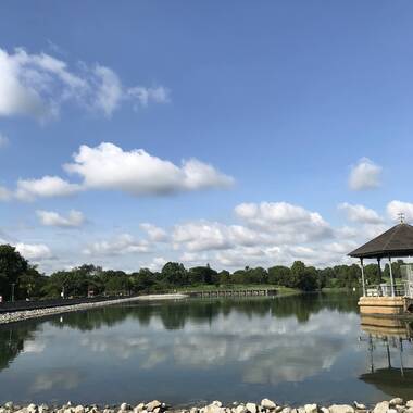 Single room special $$$