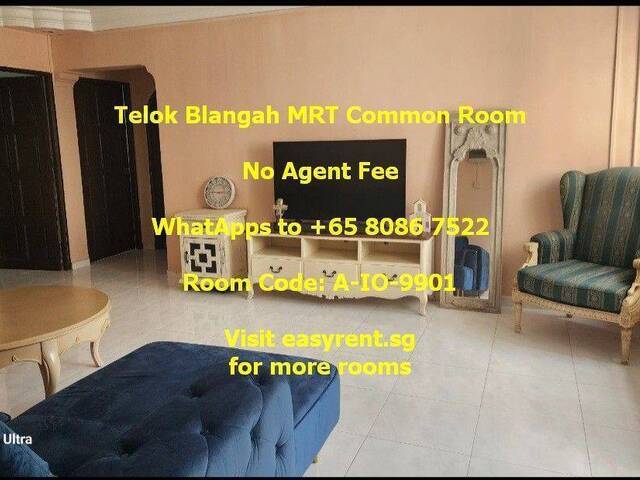 Telok Blangah MRT Common Room