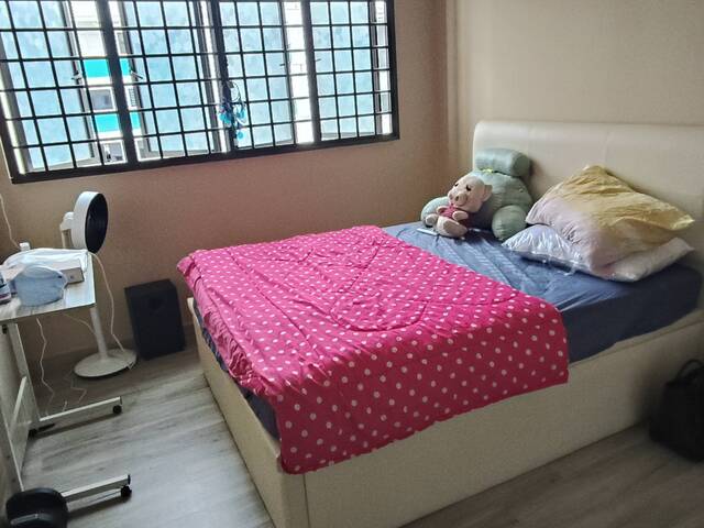 Newly renovated common room for rent