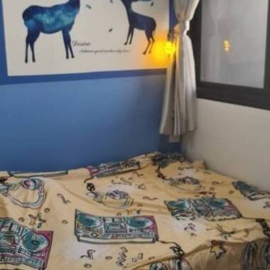 Two common rooms at The Canopy for rent! Aircon wifi!