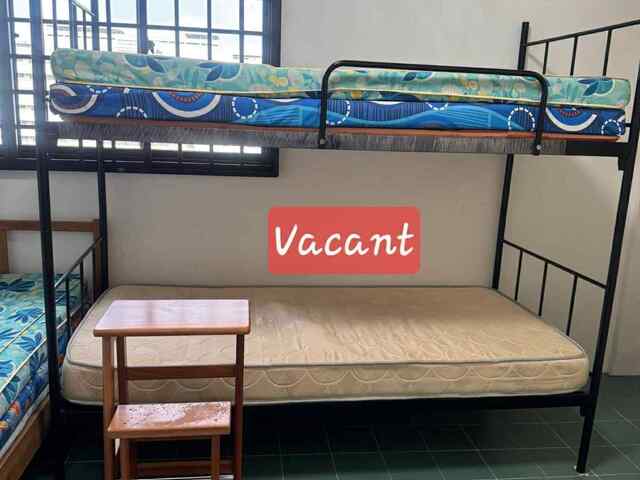 550 All In BedSpace infront of Yishun MRT Station & North Point Mall