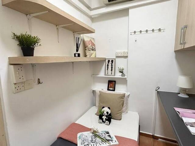 Full furnish Single room with Own Bathroom Tiong Bahru MRT.