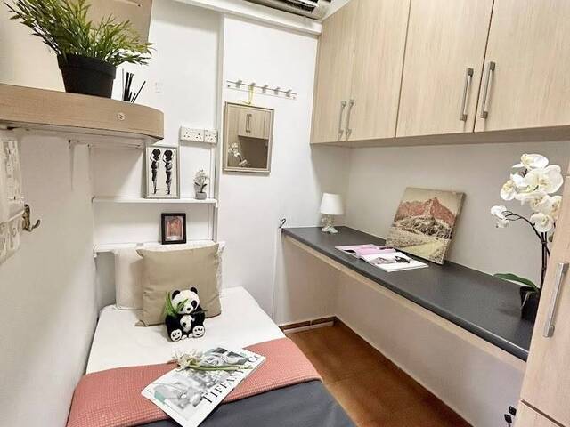 Full furnish Single room with Own Bathroom Tiong Bahru MRT.