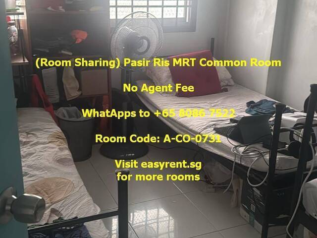 (Room Sharing) Pasir Ris MRT Common Room