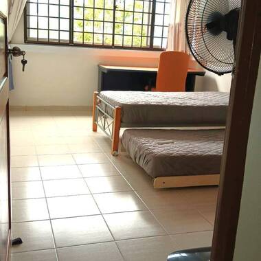 Common Room for Rent at Blk 278 Tampines Street 22. (Female Only) NO AGENT FEE