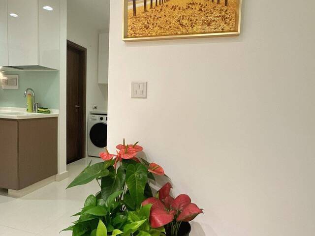 Beautiful condo room for rent