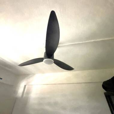 Common room for rent at Blk 564 Ang Mo Kio Avenue 3. Own Bathroom! no agent fee