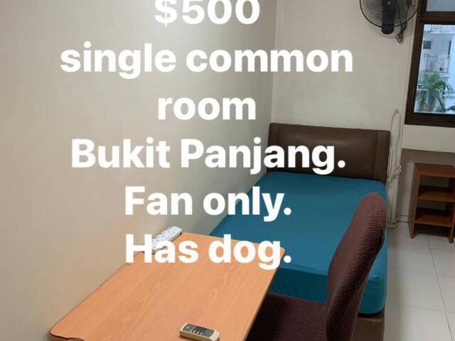 Common Room No share Male