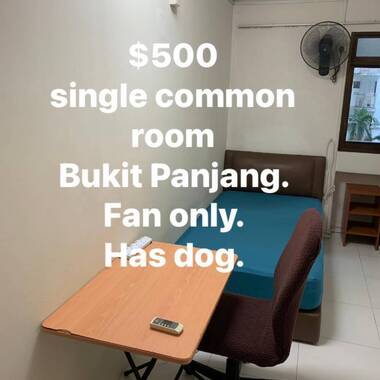 Common Room No share Male