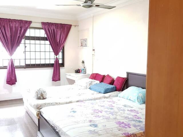 Hougang st 92, hdb flat to rent from 1 Dec