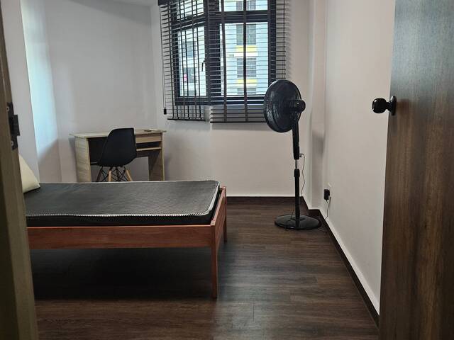 Common Room, Single Bed