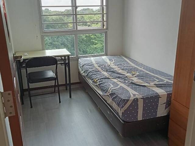 Single room for rent , female needed