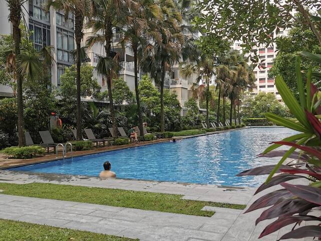 3rm hdb, free/foc daily cleaning services, access to full condo facilities( nearby)