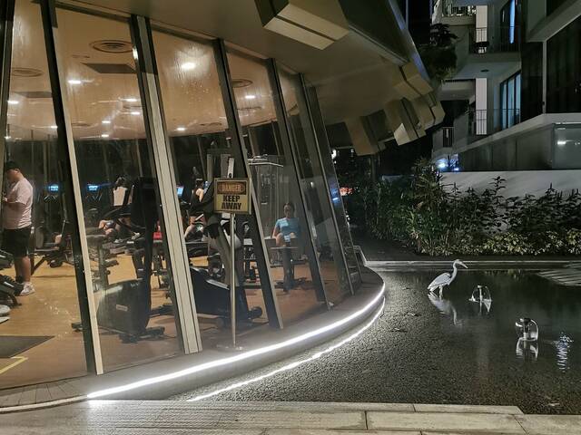 3rm hdb, free/foc daily cleaning services, access to full condo facilities( nearby)