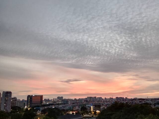 3rm hdb, free/foc daily cleaning services, access to full condo facilities( nearby)